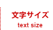 文字サイズ